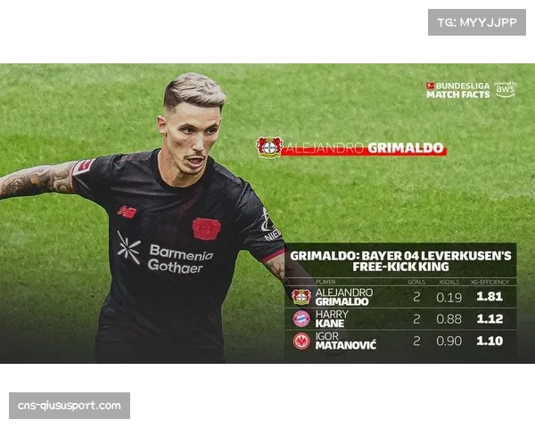 勒沃库森老将格里马尔多经验助力年轻球员